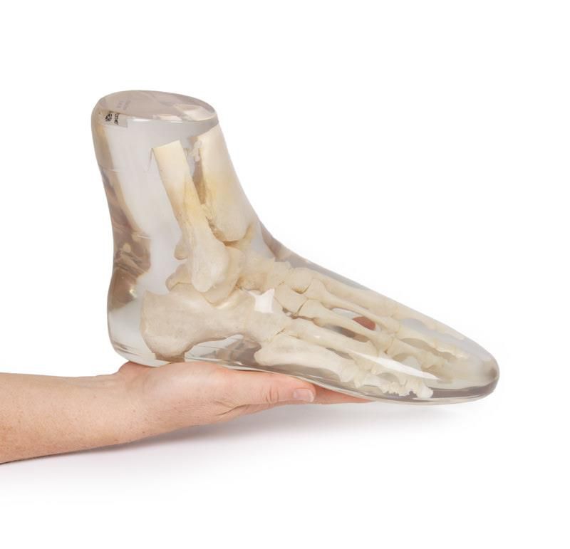 Odoo • Texte et Image