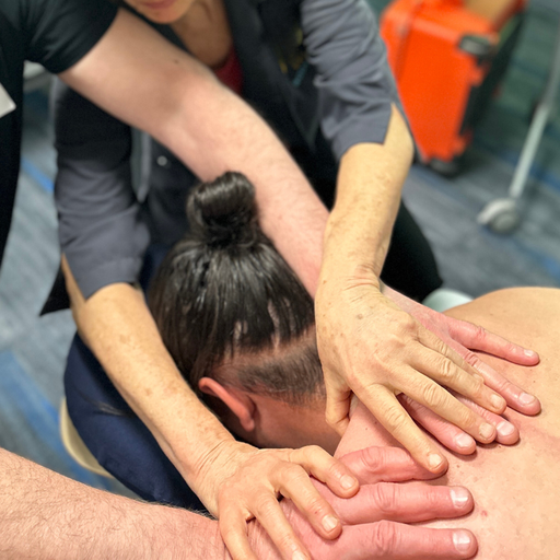 Structural Myofascial Therapy(SMFT)® Level 2 «Creating Specificity» (2026-10-22 - 2026-10-23)