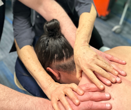 Structural Myofascial Therapy(SMFT)® Level 2: «Creating Specificity» (2027-03-11 - 2027-03-12)