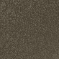 [119-971] Premium cushions for Model 528/529 (Gunmetal (Dark grey), 61.0 cm (24.0"))