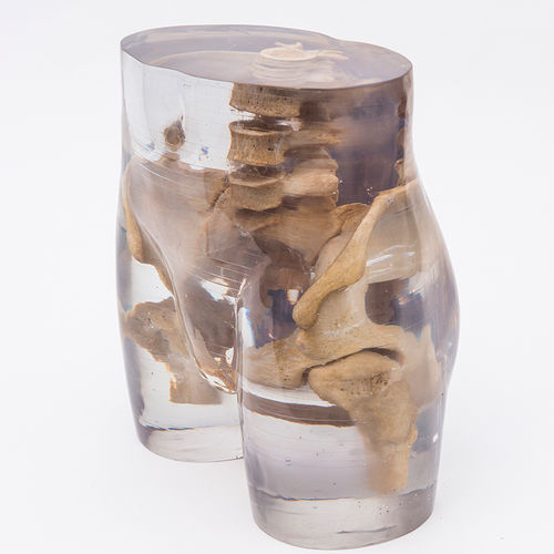 [117-672] Model - Radiology test phantom - Pelvis