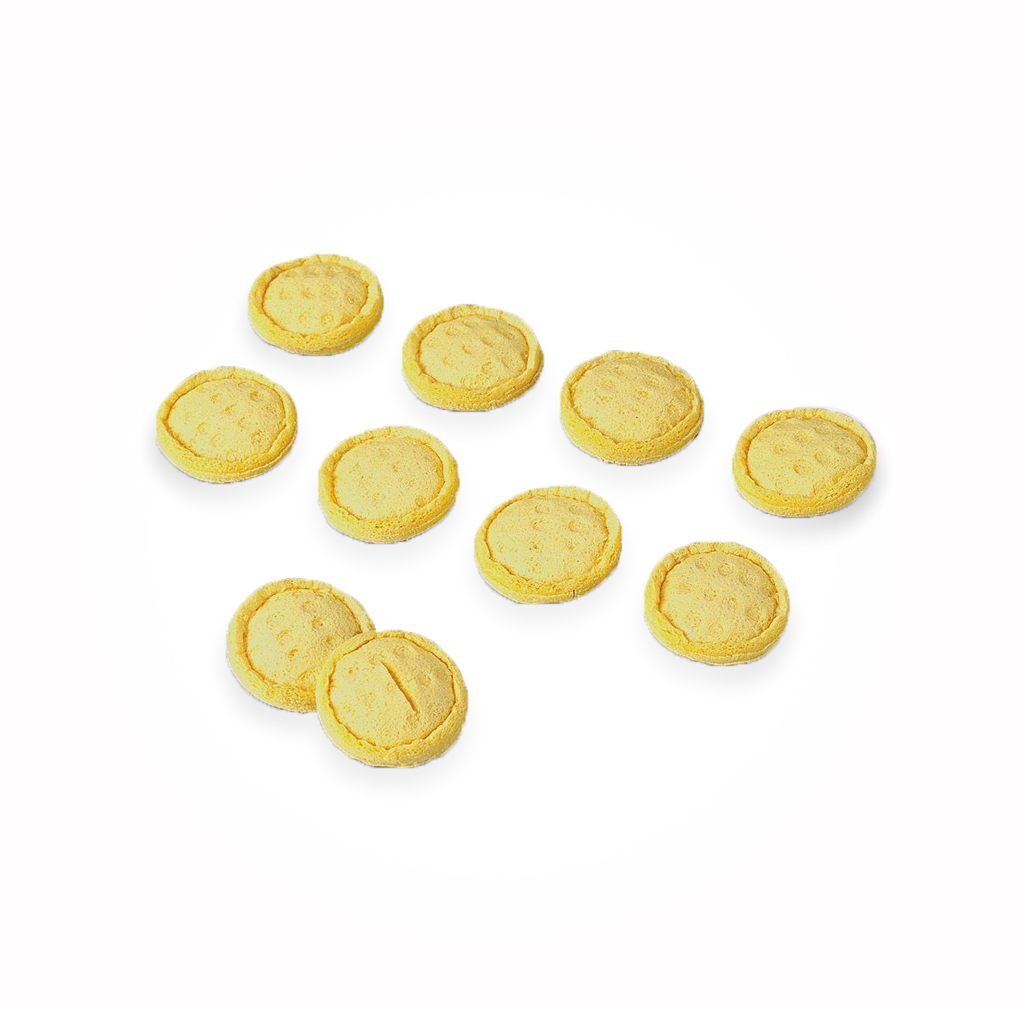 [100-477] Éponges pour électrode crayon