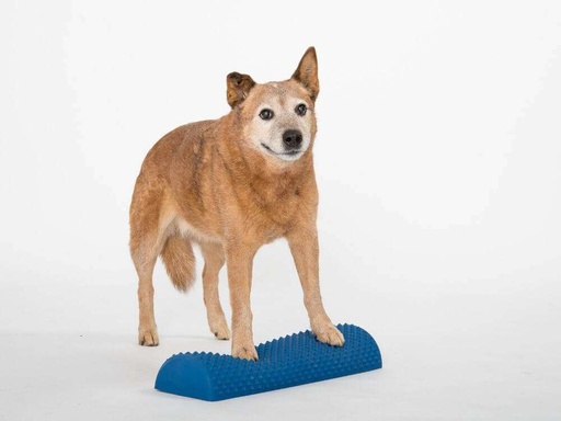 Poutre d'équilibre gonflable Senso - Animaux